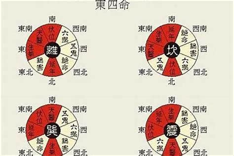 离卦 东四命|善韵缘｜何为东四命、西四命？怎么算？看这一篇就够 